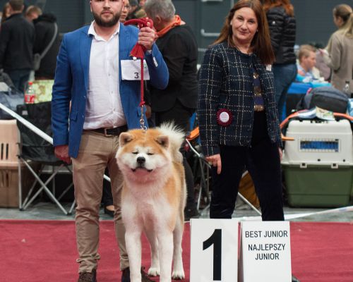 Club Dog Show Poland 2018