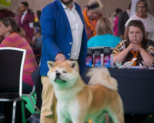 World Dog Show Amsterdam 2018