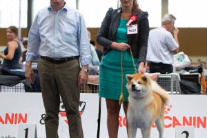 64347250 106153630665284 6857074532566433792 o 106153627331951