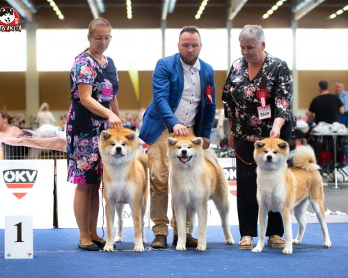 European Dog Show Wels 2019