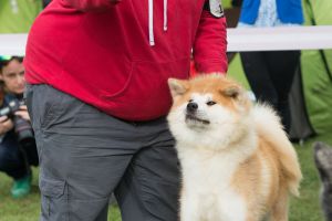 75271445 2406320972954782 2669350190535671808 o 2406320966288116