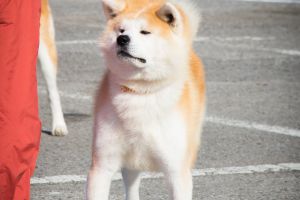 78995185 1568385723303943 5459328879791439872 o 1568385716637277