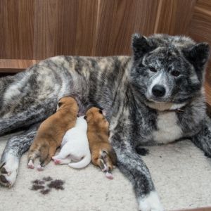 80595288 1588956687913513 3458813381958434816 o