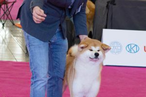 82964587 1620377461438102 8005223963435204608 o 1620377451438103