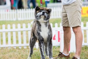 DSC 1774 28Kopiowanie29