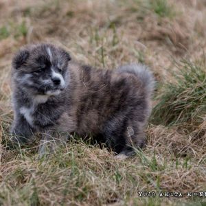 DSC 5756 28Kopiowanie29