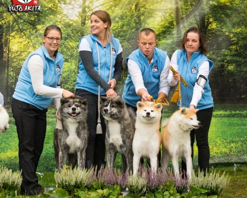 Club Dog Show Poland 2017