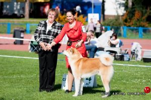 DSC1268 28Kopiowanie29