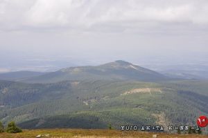 DSC4006 28Kopiowanie29