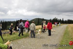 DSC4066 28Kopiowanie29