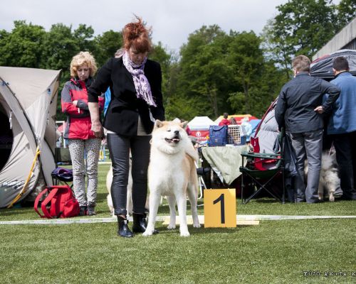 Międzynarodowa Wystawa Psów Rasowych w Łodzi 10.05.2014