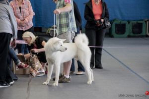 DSC5746 28Kopiowanie29