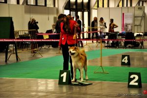 DSC6673 28Kopiowanie29
