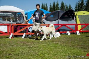 DSC7245 28Kopiowanie29