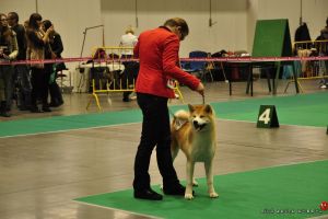 DSC7280 28Kopiowanie29