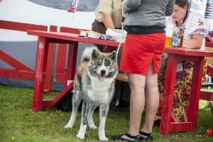 DSC7354 28Kopiowanie29