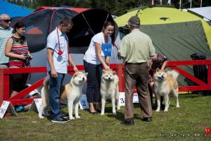 DSC7572 28Kopiowanie29