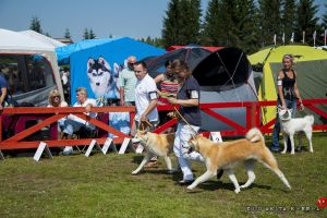 DSC7630 28Kopiowanie29