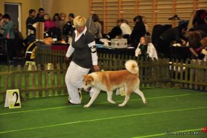 DSC8961 28Kopiowanie29